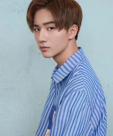 李宏毅个人资料简介,才华横溢的年轻演员，从校园偶像到影视新星的蜕变之路