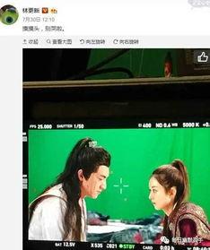 娱乐圈有哪些工作,揭秘明星背后的职业世界