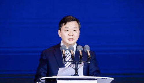 朱伟 个人资料,才华横溢的学者与作家，探索人生与知识的深度